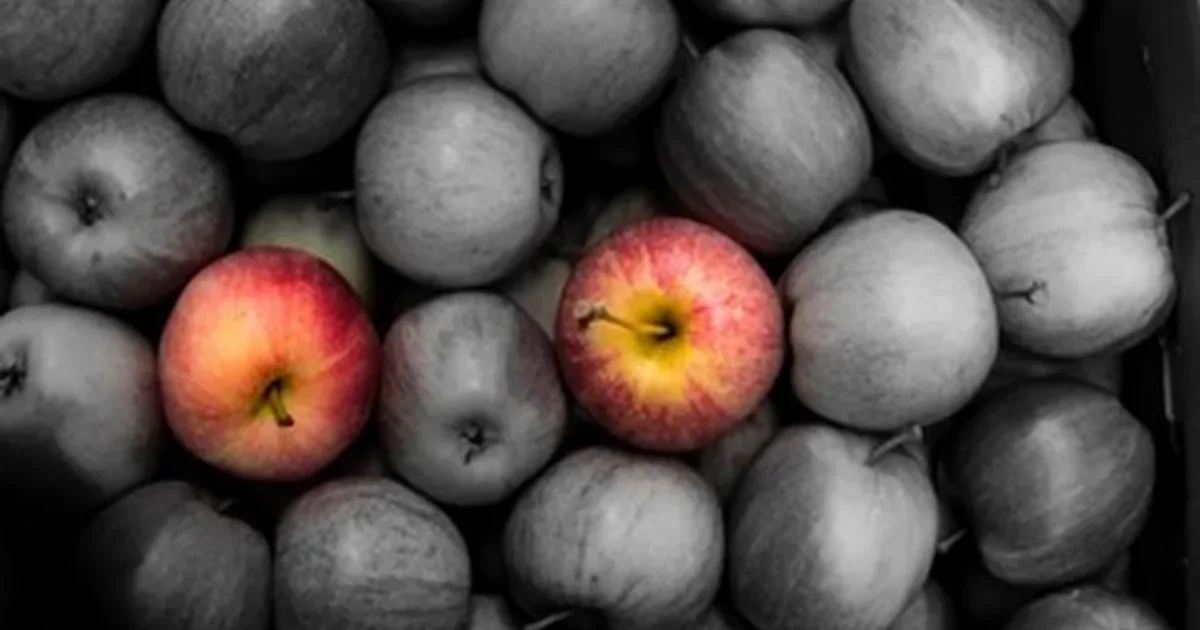 SWIR Lenses for Shortwave Infrared Imaging and Inspection